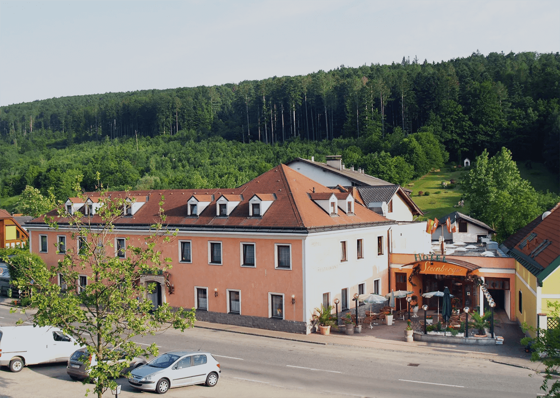 IACFS Schamanismus Seminar Lokation - Steinberger Hotel