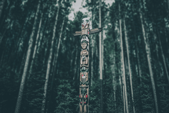 Fehlende Berechtigung - Shaman Practitioner