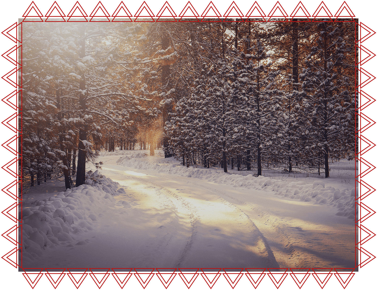 IACFS Schamanisches Wissen - Weihe-Nacht - Schneelandschaft im Wald mit Sonnenschein