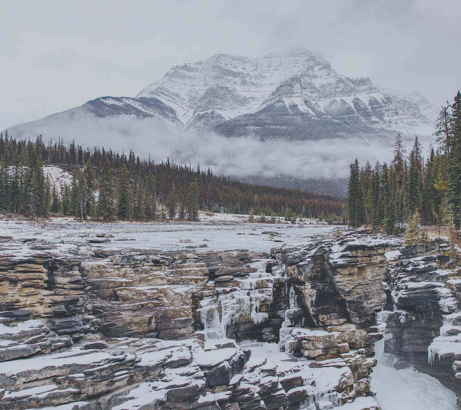 Athabasca Wasserfälle, Kanada
