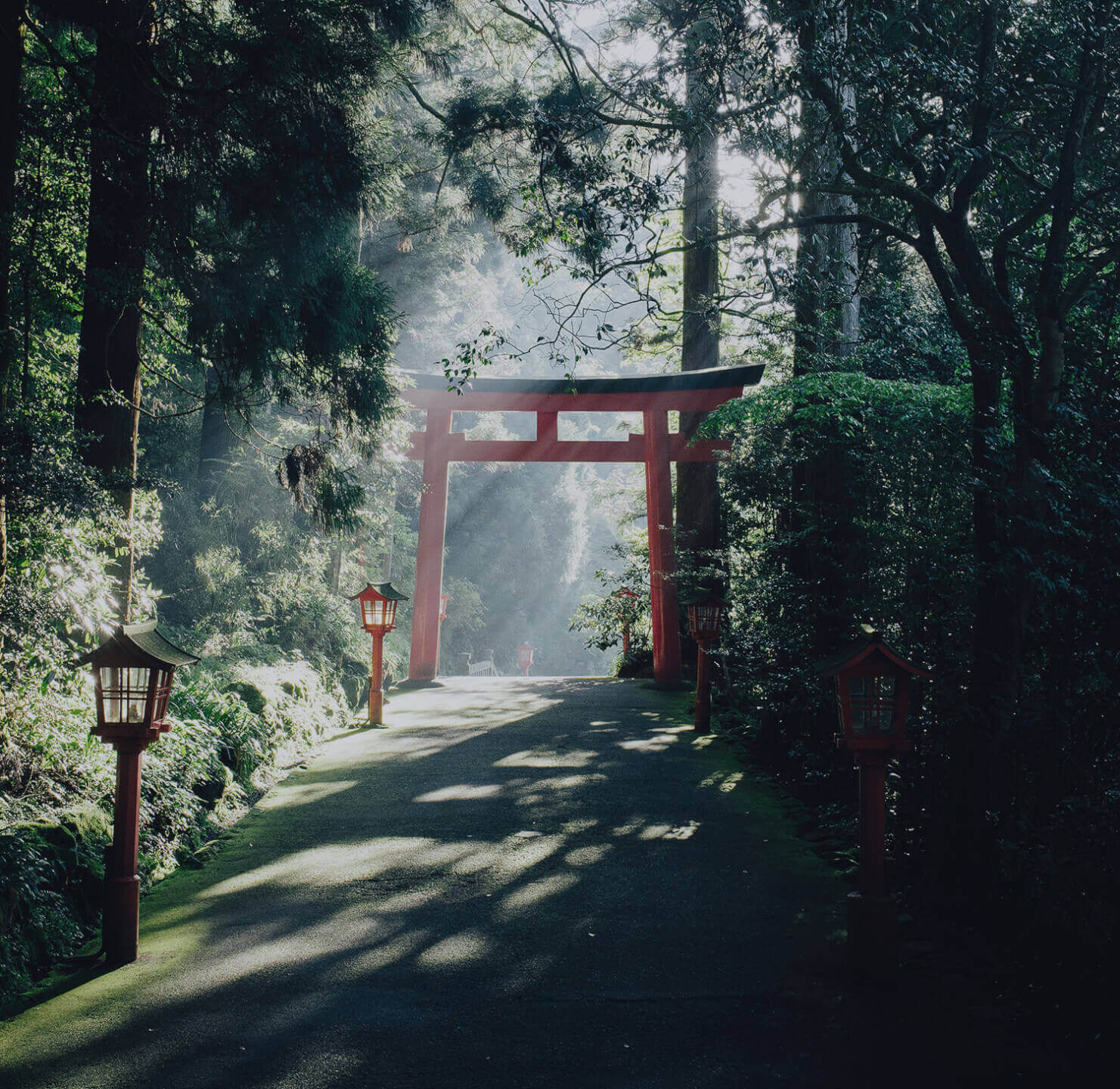 Torii, die traditionellen japanischen Tore zu Shinto-Schreinen